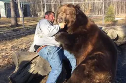 Rus stoeit met de grootste beer die je ooit hebt gezien