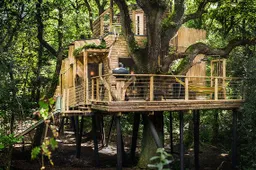 Dit is de vetste boomhut die je ooit hebt gezien