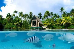 27 foto's die laten zien dat Bora Bora paradijs op aarde is