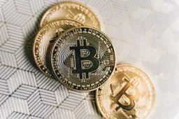 Crypto knalt naar beneden, welke munten zijn nu interessant?