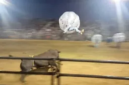 Voor Rodeo Knockerball is heel wat lef en een geschifte geest nodig