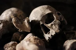 Onderzoekers graven botten van een onbekende mensachtige op in Israël