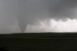 Vliegende koeien in gierende tornado Wyoming