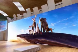 Sony showt 16K-televisie ter grootte van een jonge walvis