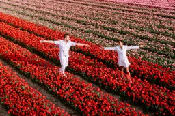 Nederland weer in de top 10 van gelukkigste landen ter wereld