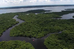 Onderzoekers vinden eeuwenoude stad in Amazonegebied Ecuador
