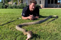 Dingo Dinkelman profileert zichzelf als de nieuwe Steve Irwin