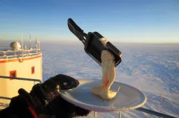 Gozer op Antarctica probeert tevergeefs te koken bij -70°C