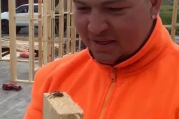 Beunhaas eet dikke levende spin voor $20