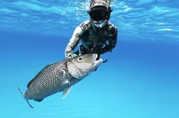 Mark Healey laat zien hoe je onder water een vis vangt