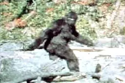 Amerikaan schiet bijna een een vrouw dood omdat hij dacht dat het Bigfoot was