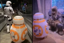 4-jarig meisje steelt de show in Disney World verkleed als BB-8