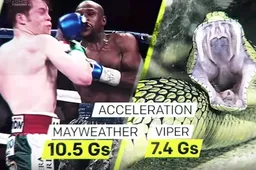 ESPN Sport analyseert de kracht en snelheid van McGregor en Mayweather