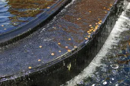 Nederlander krijgt flinke boete voor het jatten van geld uit fontein in Rome