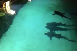 Gozer springt in een bad vol met hongerige haaien