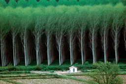 16 foto's die zo magisch zijn dat ze nep lijken