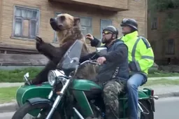 Russisch circus besluit zijn beer met de motor uit te laten