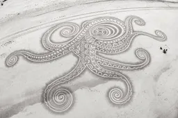 Nederlander maakt waanzinnig gedetailleerde strand tekeningen