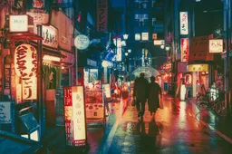 19 foto's die Tokyo doen voorkomen als een sprookjesachtige metropool