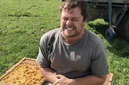 Gast zit met blote reet in een nest met bijen voor 1.000 dollar weddenschap
