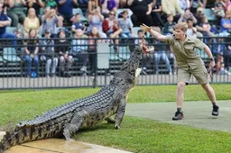 15 jaar later voert zoon van Steve Irwin dezelfde krokodil als zijn pa