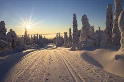 Finland is vandaag 100 jaar onafhankelijk en dat vieren we met de mooiste foto’s