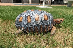 Zwaargewonde schildpad krijgt 3d-geprint schild