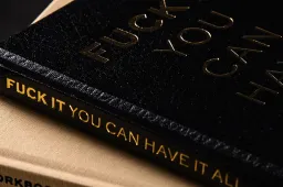 5 lessen die je kunt halen uit het boek 'Fuck it you can have it all'