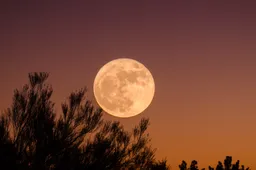 Niet kunnen slapen bij volle maan: feit of fabel?