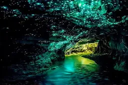 In de Glowworm Caves in Nieuw-Zeeland zorgen gloeiwormen voor een magische lichtshow