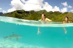 De mooiste GoPro momenten van het afgelopen jaar