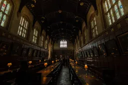 Drink je maten op magische wijze onder de tafel in de nieuwe Harry Potter bar