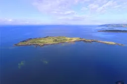 Het Schotse eiland Barlocco staat te koop voor 'slechts' 168.000 euro