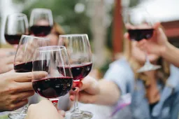 Uit onderzoek blijkt dat mensen met hoger IQ het liefst wijn drinken