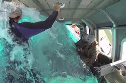 De onderwatertraining voor Amerikaanse mariniers ziet er super scary uit
