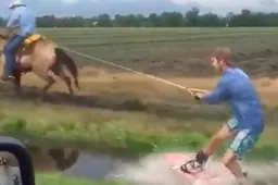 Gast wakeboardt achter een galopperend paard