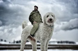 Fotograaf photoshopt zijn hond in een gigantisch beest in hilarische fotoreeks