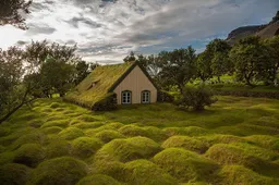 Deze Scandinavische huizen zijn de droom van elke natuurliefhebber