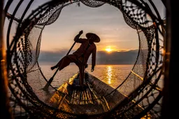 De betoverende inzendingen voor de fotowedstrijd van National Geographic