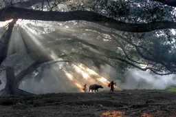 Dit zijn de winnaars van de iPhone Photography Awards