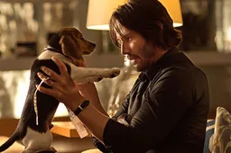 Real-life John Wick neemt revange na het vermoorden van zijn honden