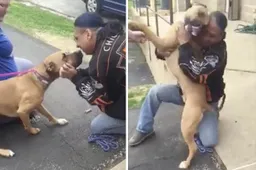 Een man en zijn gestolen hond worden na twee jaar met elkaar herenigd