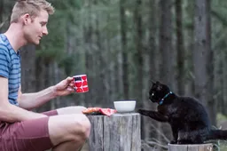 Drie jaar op reis met alleen een kat en een camper is best wel een goed idee
