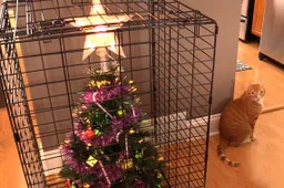 30 geniale manieren om je kerstboom te beschermen tegen brutale huisdieren