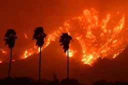 Los Angeles staat in de fik met deze apocalyptische beelden als gevolg