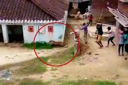 Luipaard terroriseert dorpje in India en verwondt tien mensen