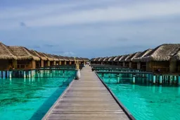 Luxueus resort op de Malediven is op zoek naar een boekverkoper