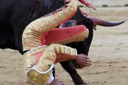 Franse stierenvechter krijgt een pak voor zijn broek van boze stier