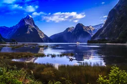 25 foto’s die bewijzen dat je naar Nieuw-Zeeland moet