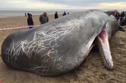 De oceaan is nog veel dieper dan we nu denken